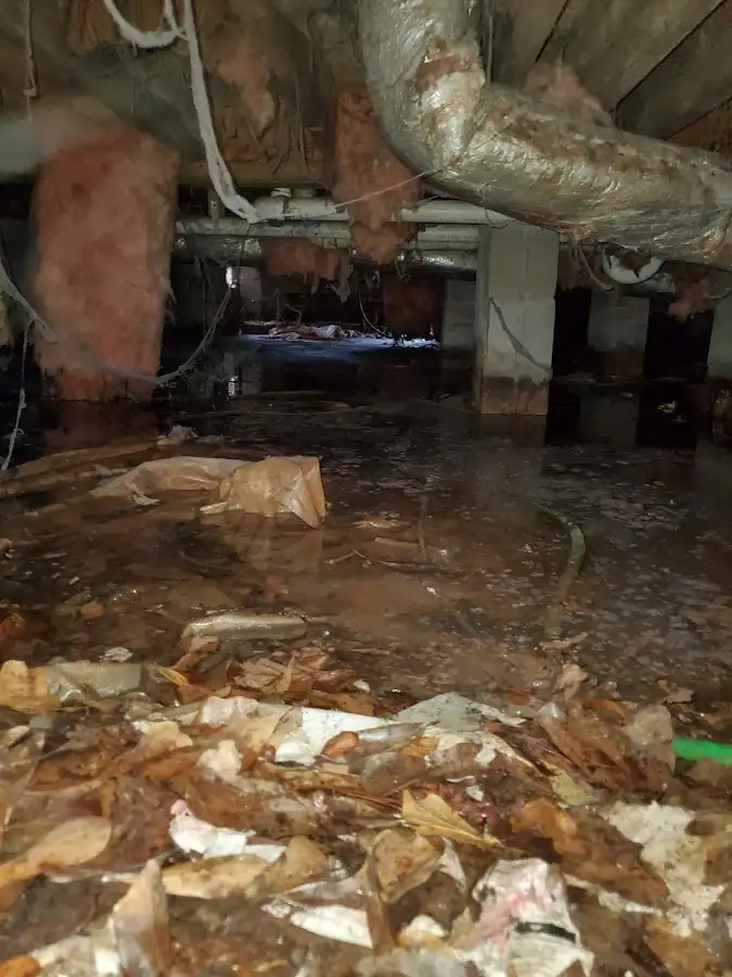 Crawl space flood assessment for Leak Detection & Repair in Ruskin