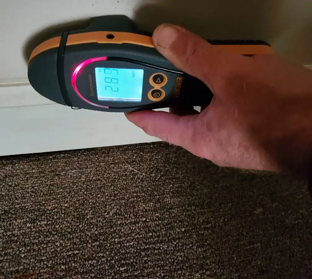 Moisture detection at baseboard during Mold Inspection & Testing in Ruskin